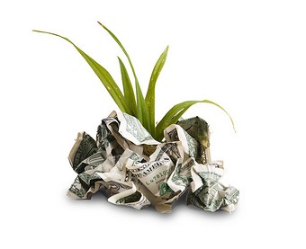 Post image for Sustainability: A Million-Dollar Opportunity for the CIO