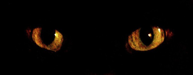 3773065364_88d03280b8_z